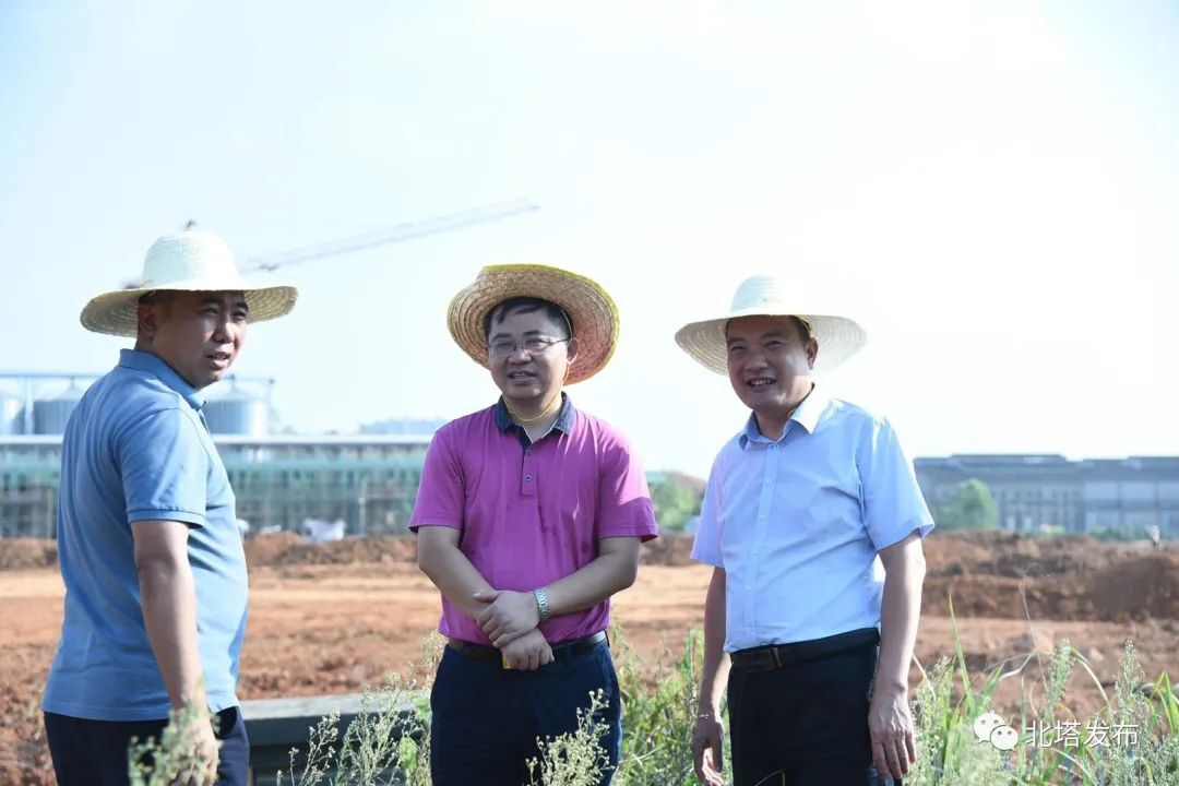 为企业办实事 湘窖酒业二期北门项目完成清表腾地