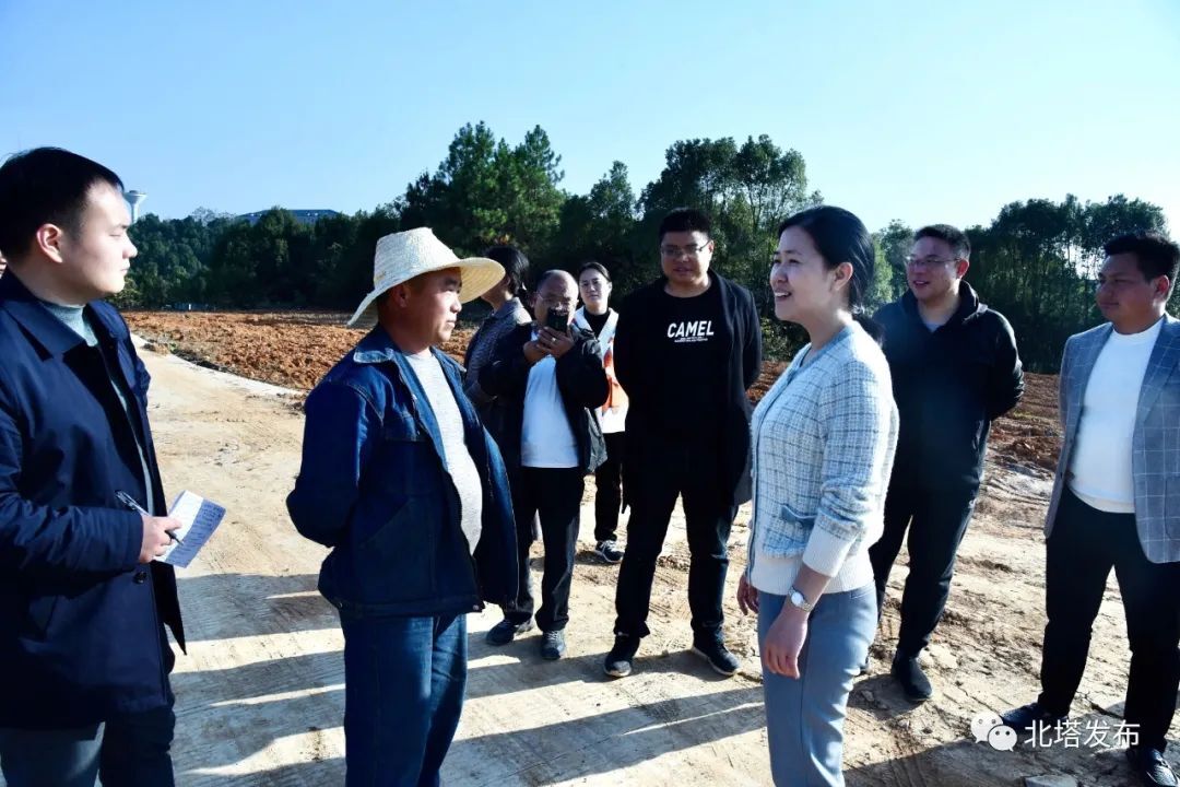 姚文娟调研乡村振兴