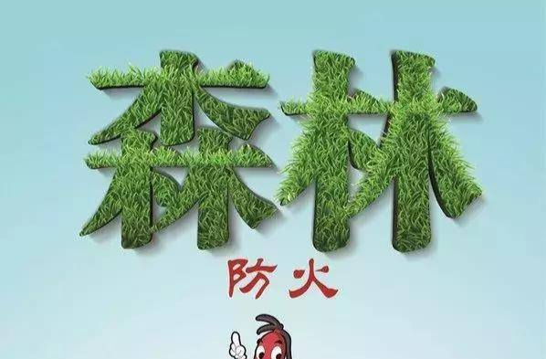森林防火 | 防范遏制森林火灾，“十不准“要牢记！
