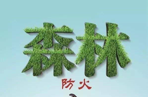 森林防火指南，看这里！！