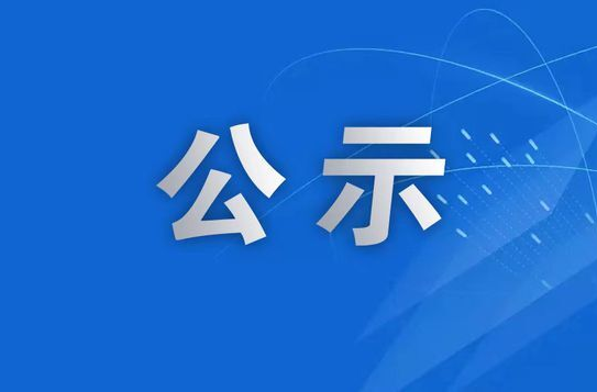 干部任前公示公告