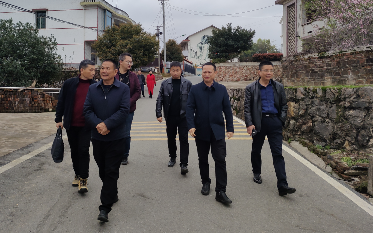 杨桂林到李子塘村督导检查 全国文明城市创建工作