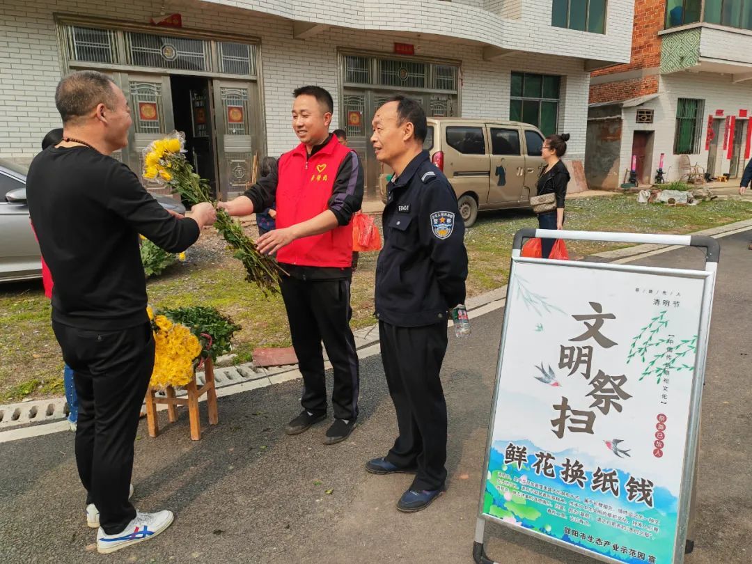 邵阳生态产业示范园：3600支鲜菊花助力清明更“清明”