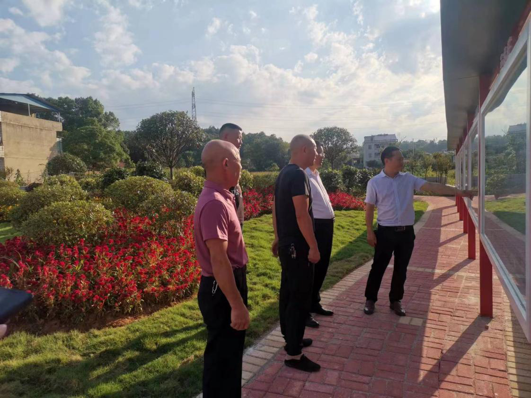 杨桂林到茶元头街道调研乡村振兴与美丽乡村建设工作