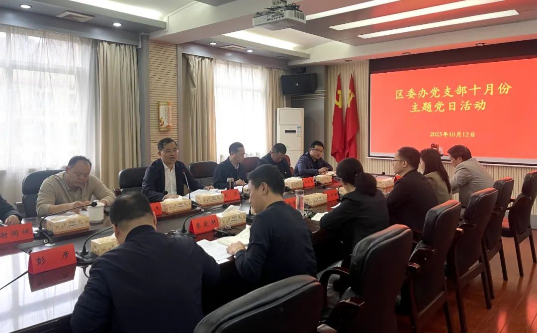 肖平参加区委办党支部主题党日活动