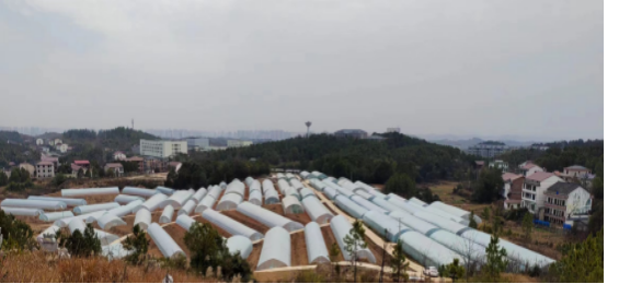 北塔区倾情营造各民族互嵌式发展环境
