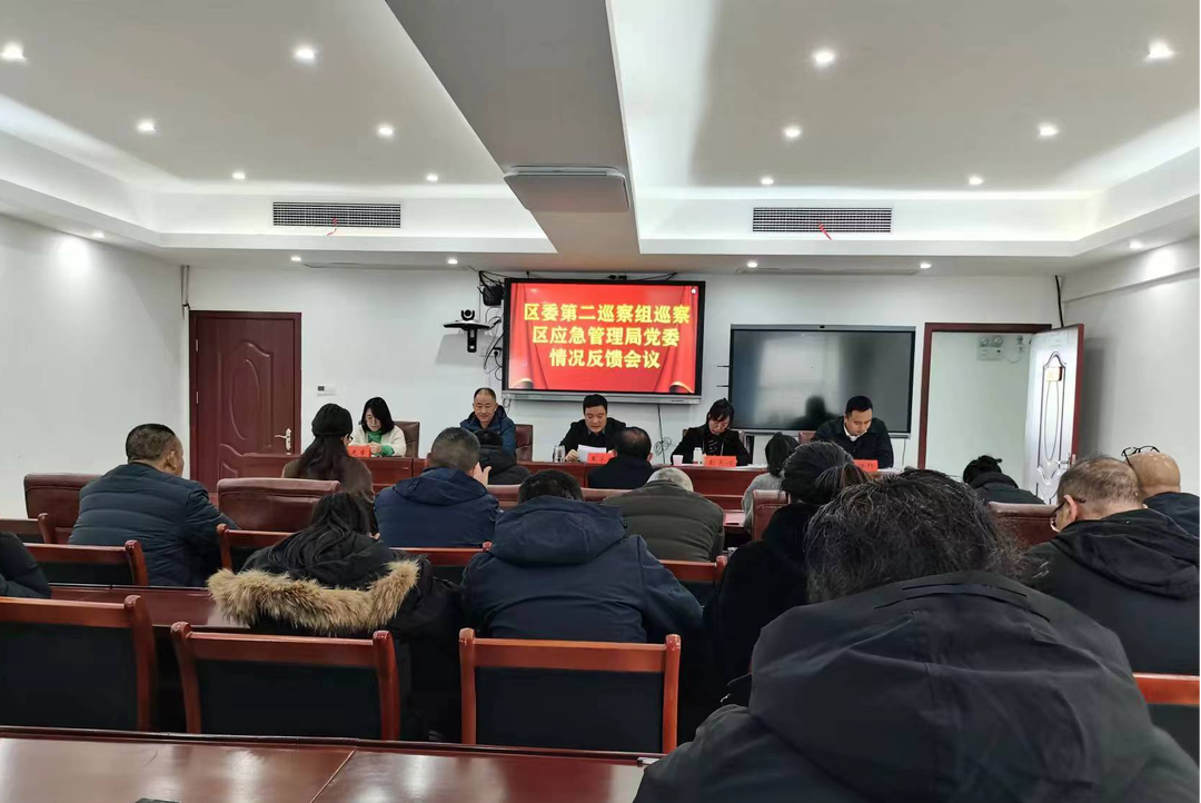 区委第二巡察组向区应急管理局党委反馈巡察情况