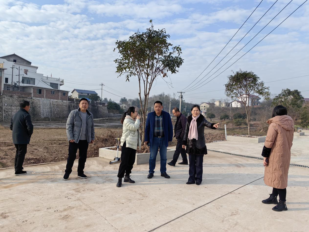 茶元头街道：人大代表助力乡村美丽庭院建设