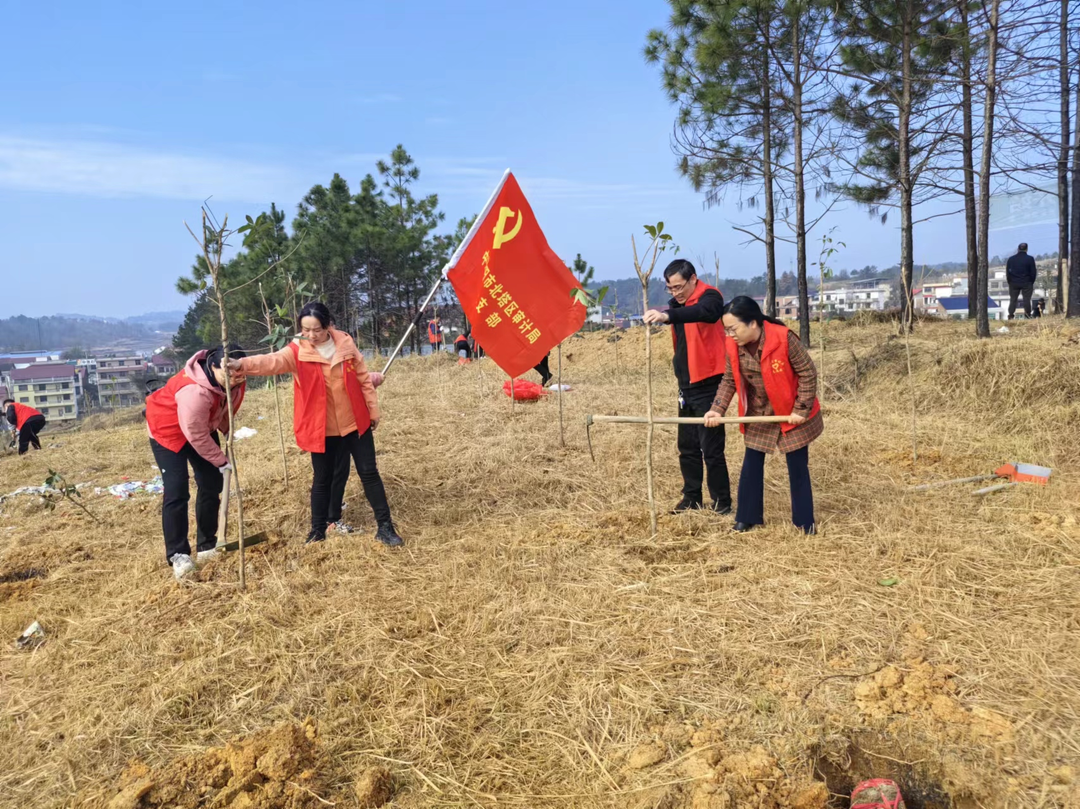 北塔区审计局共筑绿色希望，以行动助力优化营商环境