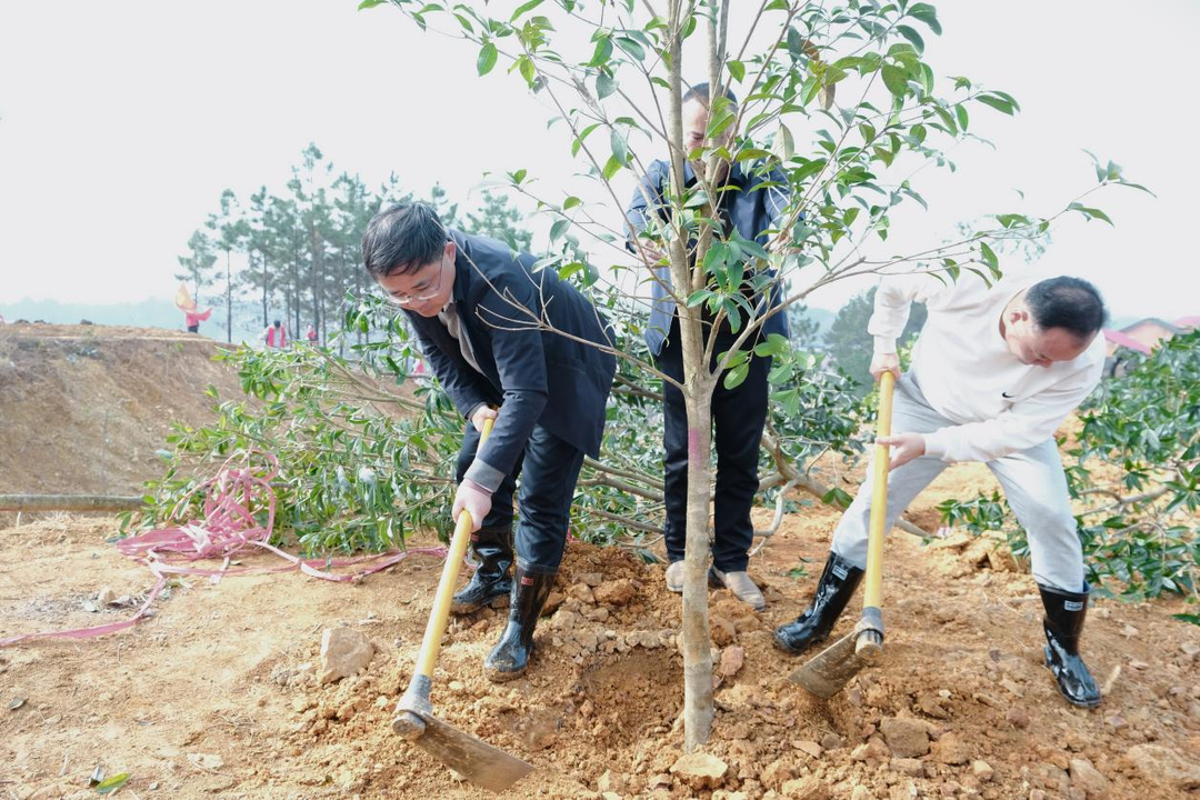 春风催新绿 植树正当时 邵阳市北塔区开展义务植树活动