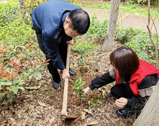 北塔区新滩镇街道：“五边”绘春景 万象更新时