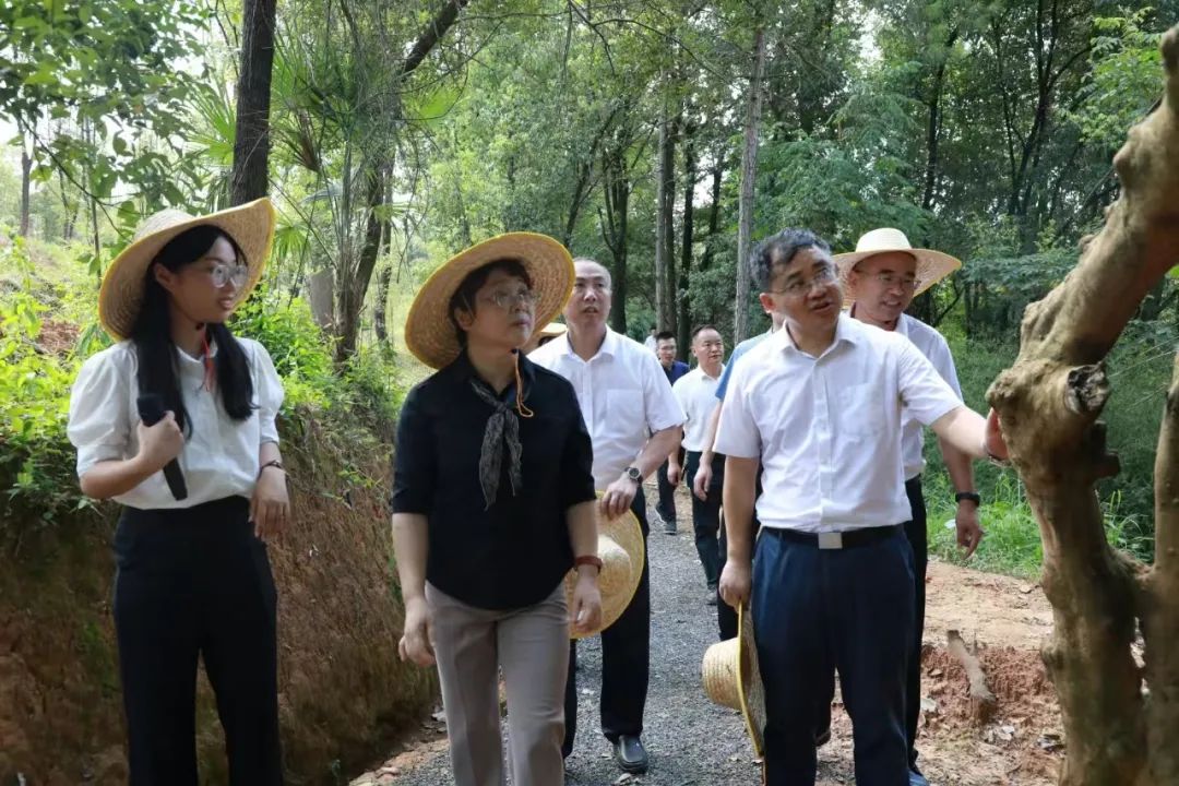 周迎春以市人大代表身份参加市人大代表小组主题活动