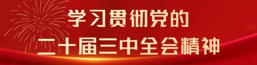 学习贯彻党的二十届三中全会精神