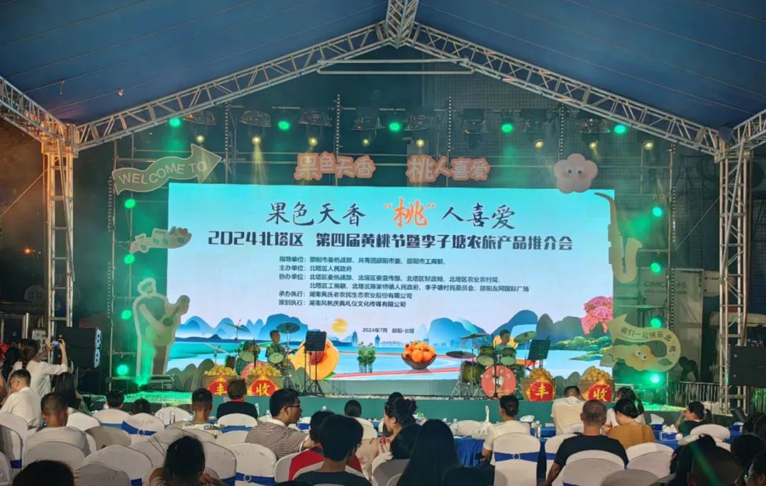 北塔区陈家桥镇：又是一年黄桃飘香时