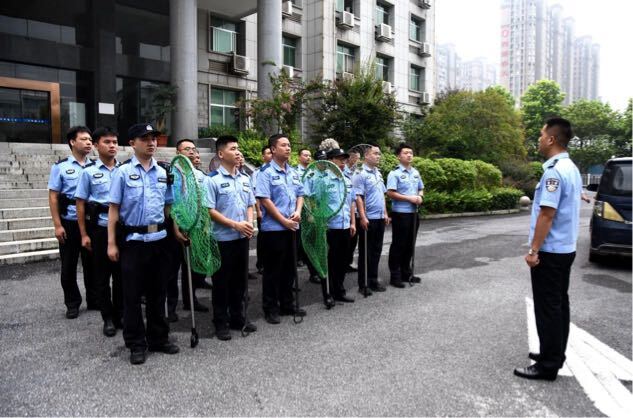 做文明养犬人丨北塔公安积极开展文明养犬劝导工作