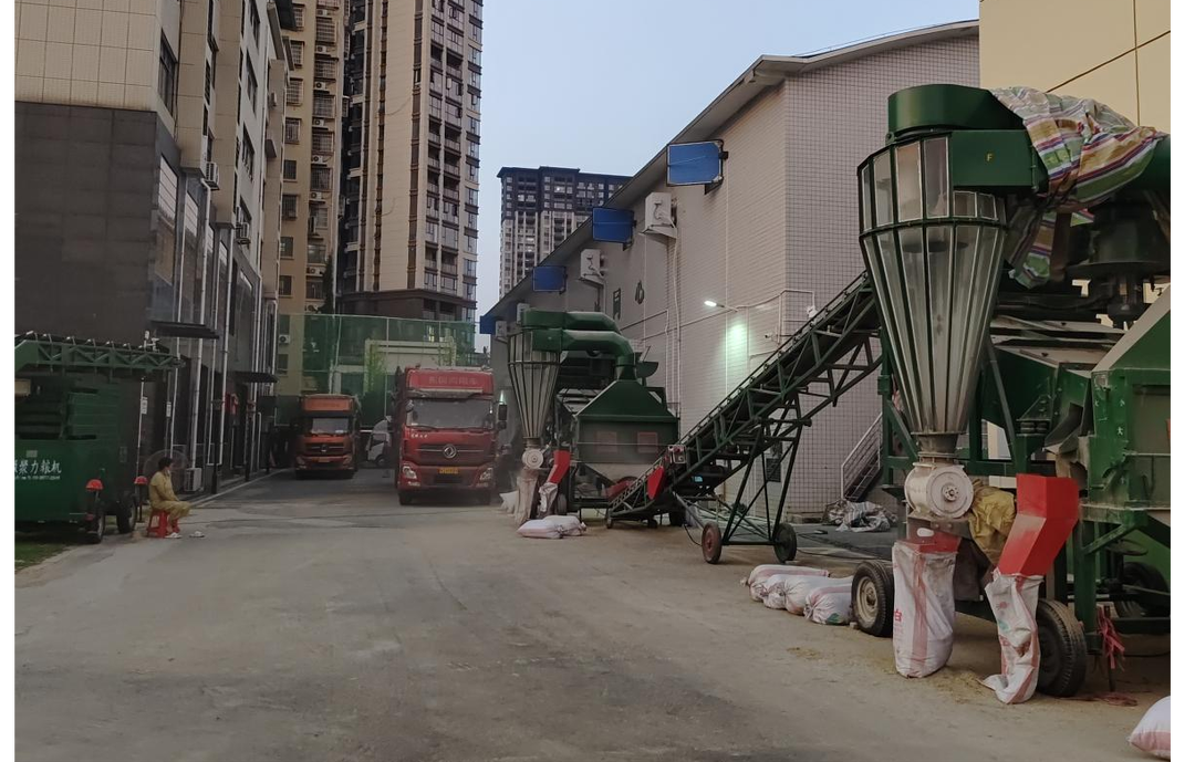 北塔区2024年储备粮轮换收购任务圆满完成