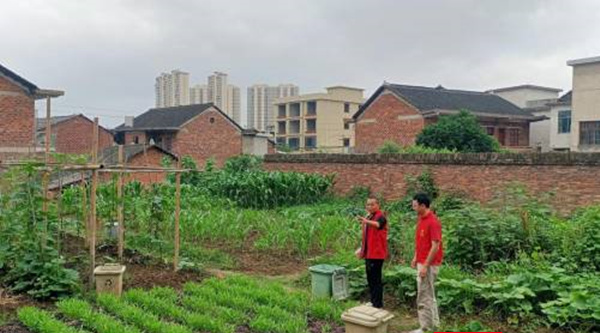 邵阳市北塔区 ：党建引领乡村振兴 带动产业发展“旺”