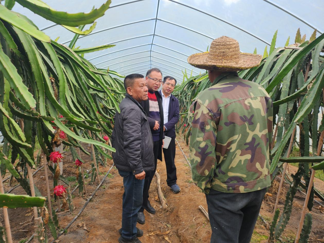 北塔区：助力乡村振兴 科技下乡进基层