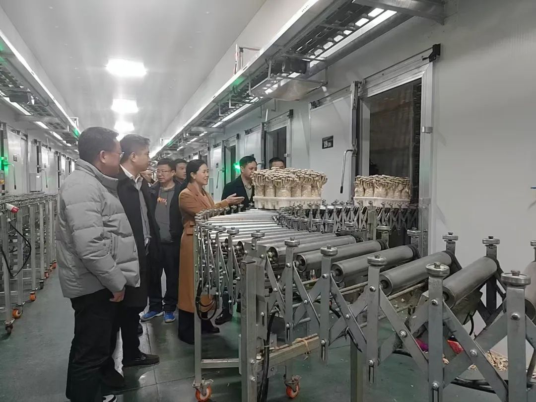 姚文娟一行赴贵州道真县考察珍稀菌业循环农业项目