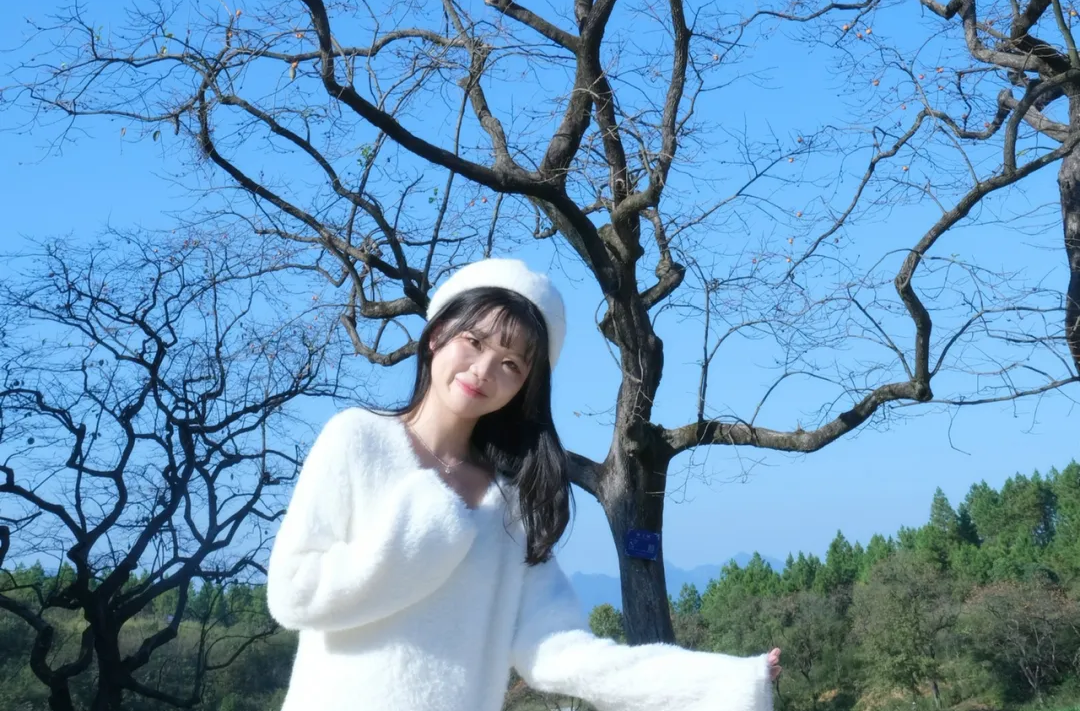 北北带你逛北塔④：枝头柿子红 恰似好运来