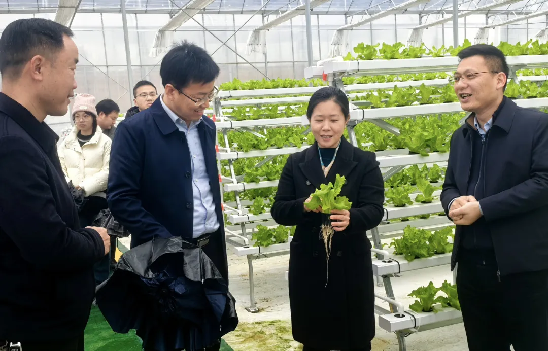 谋划农业产业 赋能乡村振兴