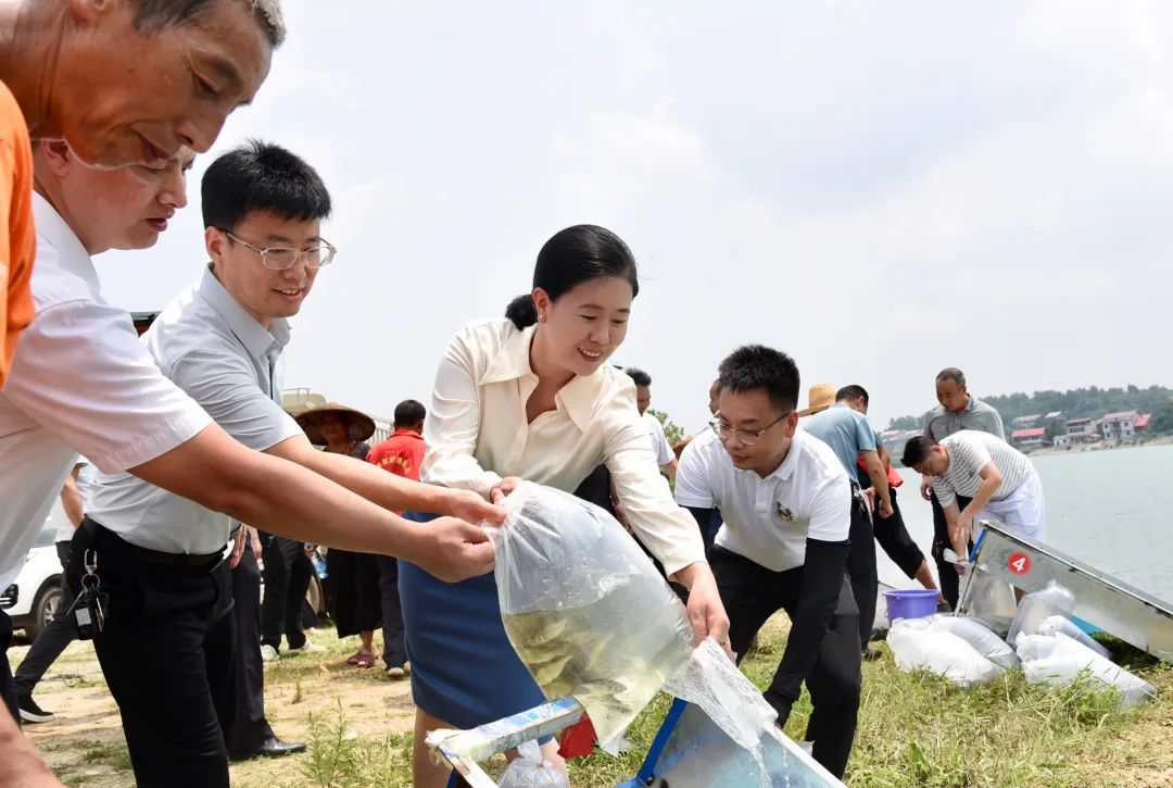 增殖放流！80万尾鱼苗安家北塔