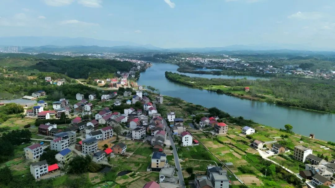 去谷洲村！看阳光村务，探清廉建设