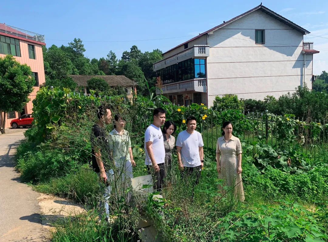 姚文娟带队巡查河道并督导道路安全、防溺水工作