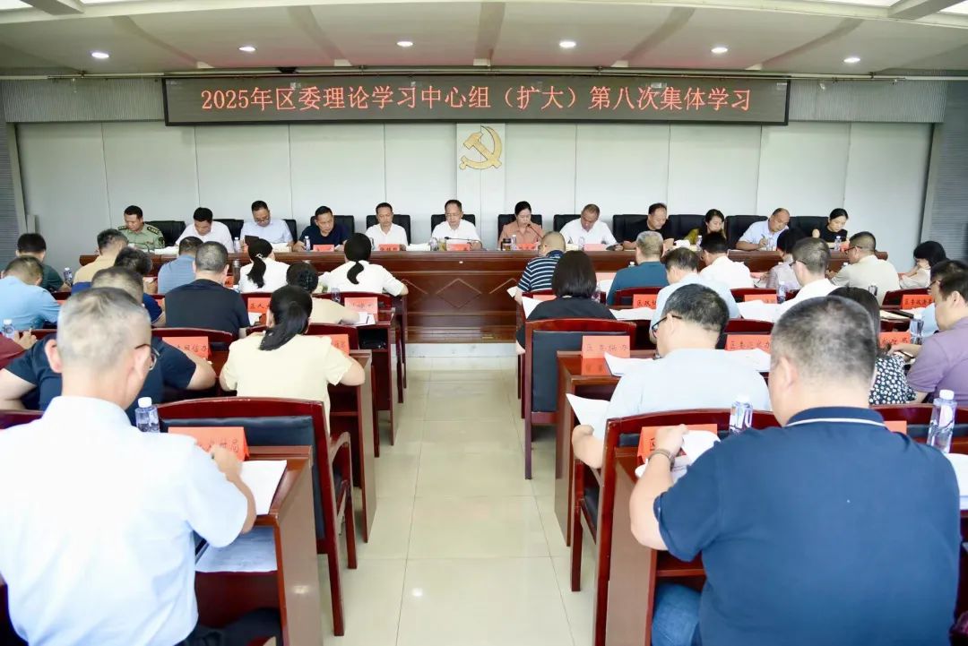 区委理论学习中心组（扩大）举行2025年第八次集体学习