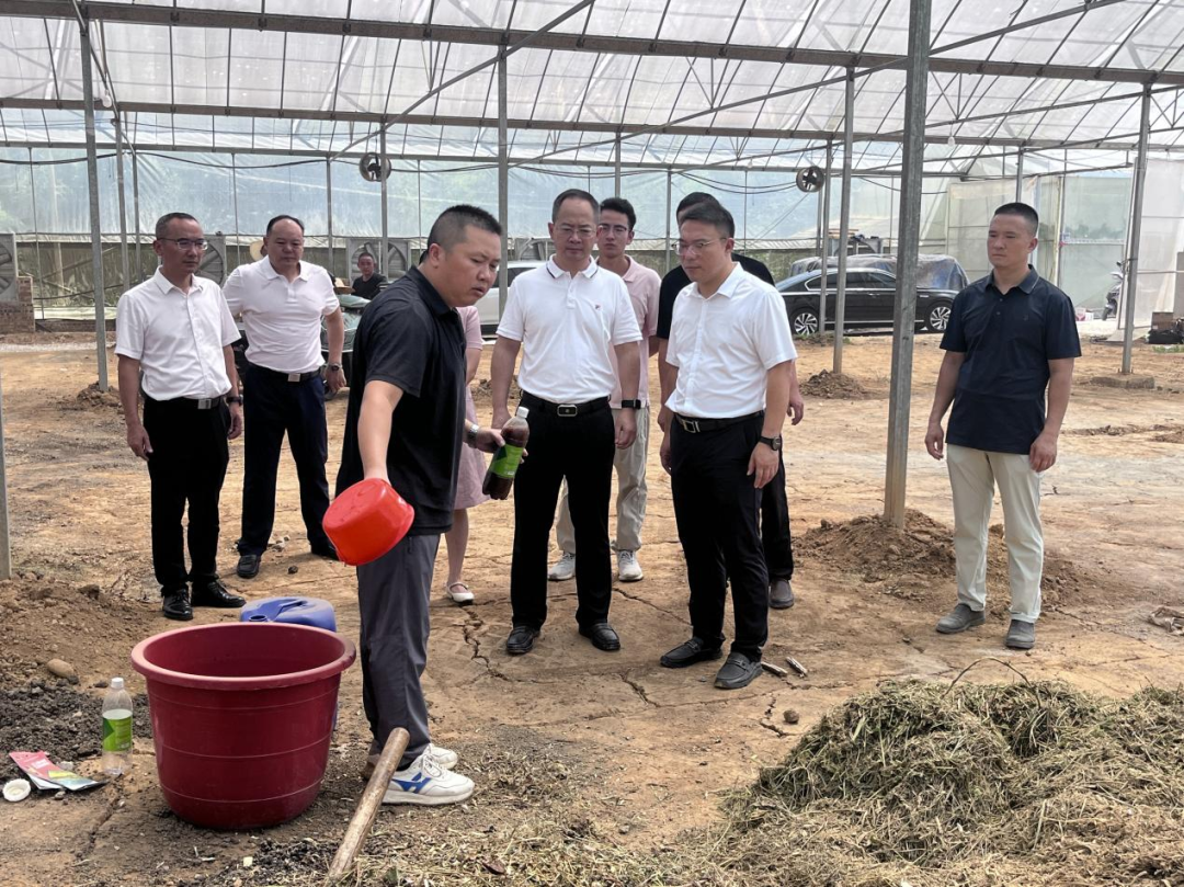 张龚调研秸秆综合利用与焚烧管控工作