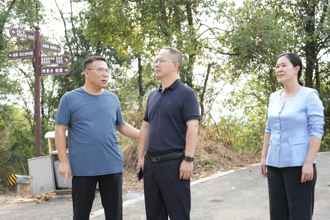 区领导到田江街道调研农文旅融合发展工作