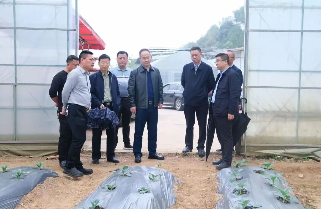 督导整改促提升 一线调度增质效