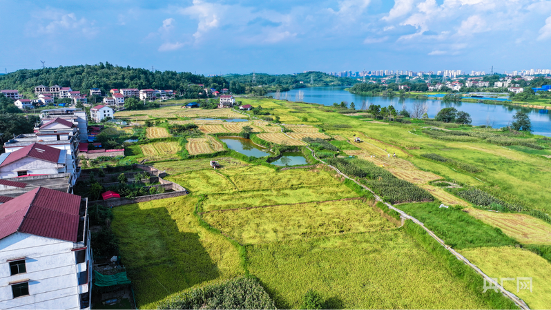 高质量发展看邵阳｜北塔区：城乡融合 激活田野新动能