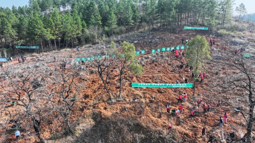 相约春天里！北塔区组织开展义务植树活动，为生态“充植”