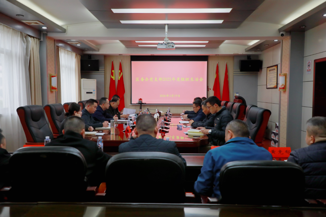 张龚参加区委办党支部组织生活会