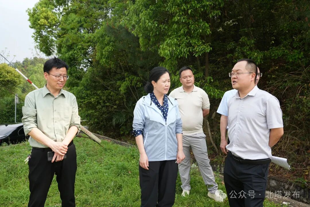 姚文娟带队调研防汛备汛及春耕生产工作