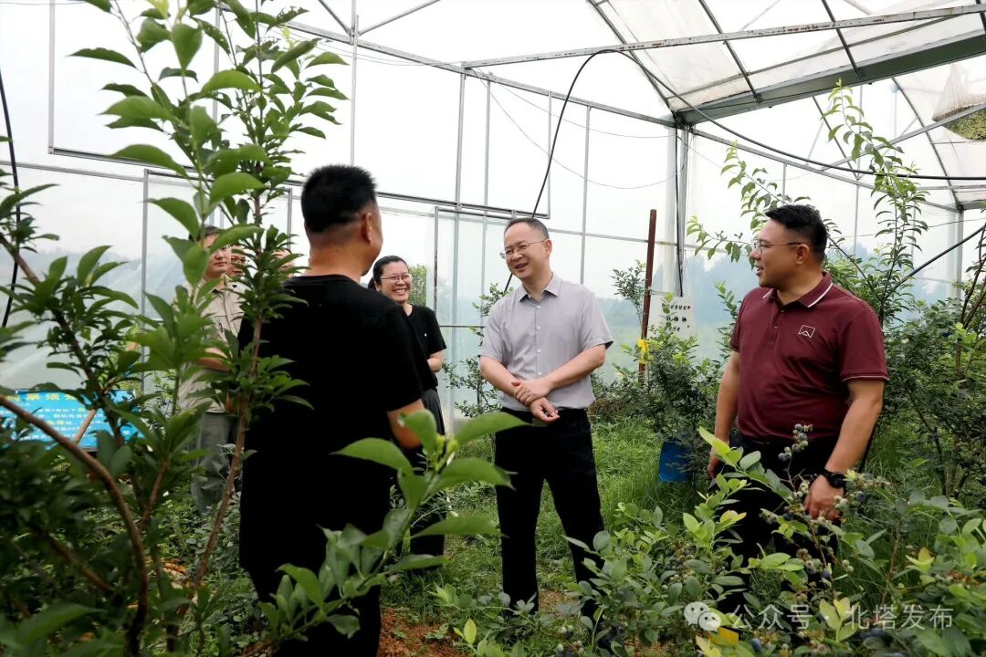 张龚深入一线调研督导安全生产、乡村产业和农田建设工作