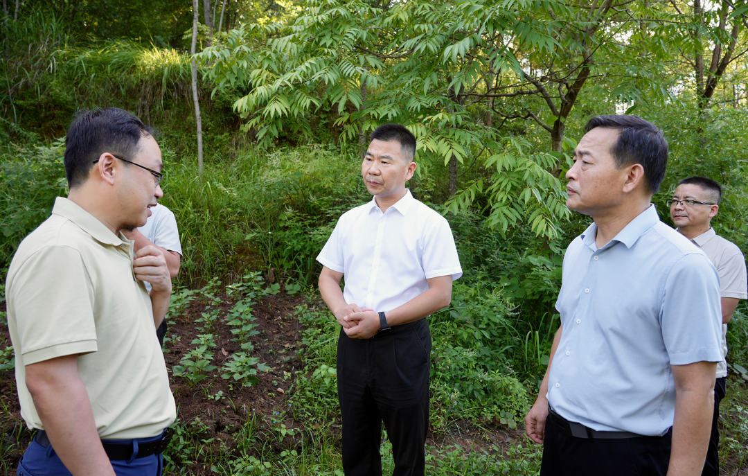 曾晚生调研龙山（体育）公园项目时强调：以民生实事“票决制”为抓手 统筹推进项目提速提质