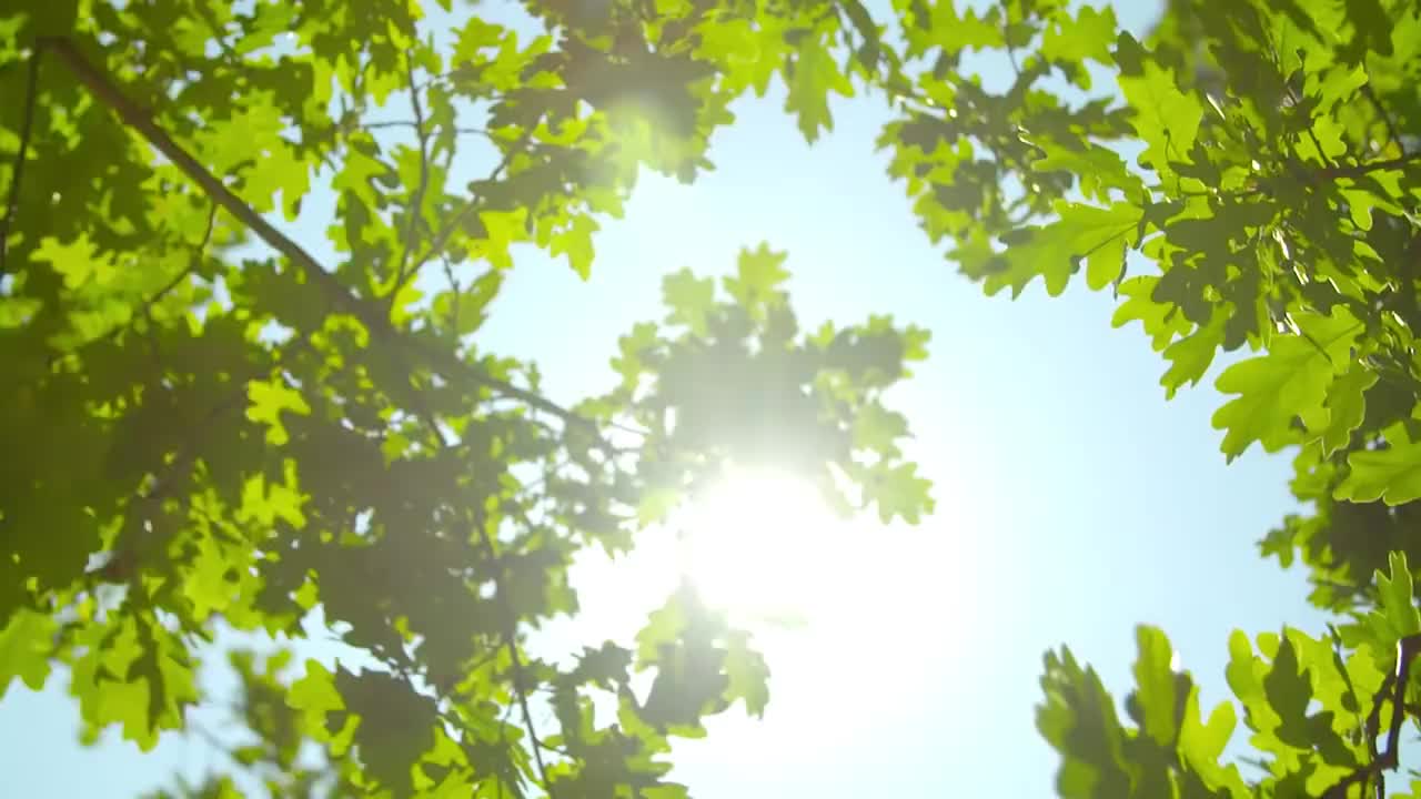 "救"在身边 120大作战