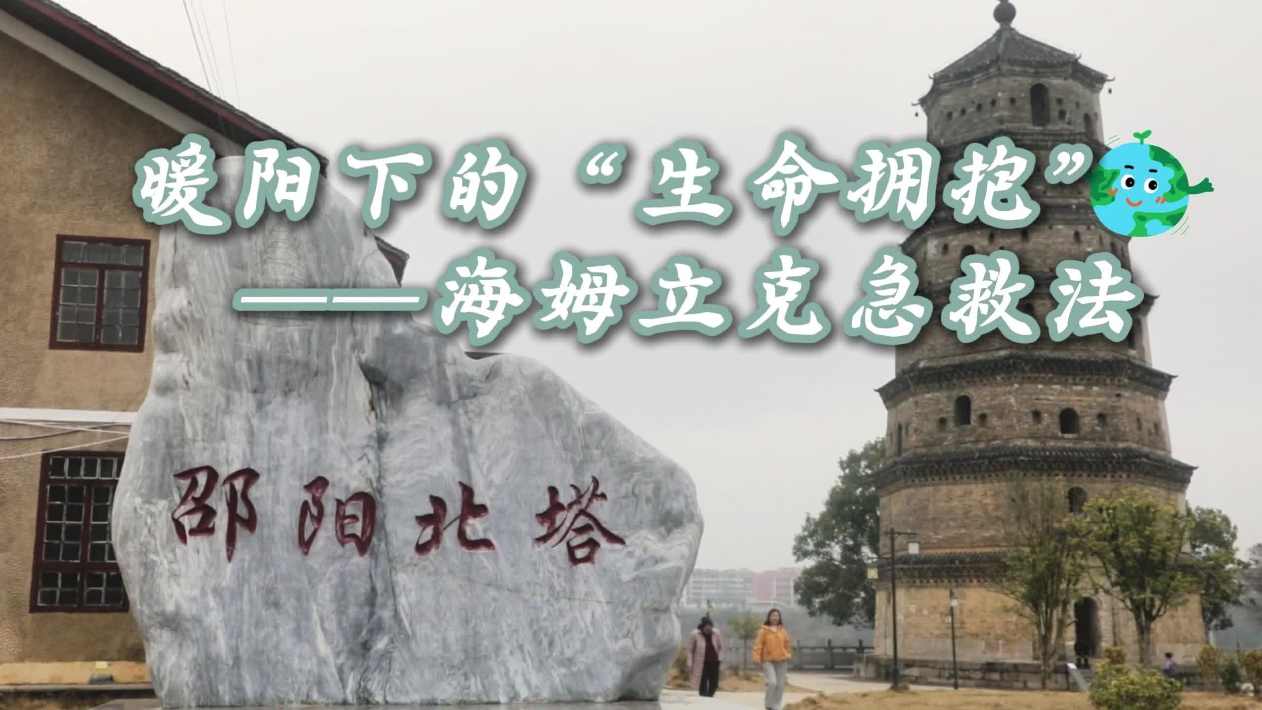 暖阳下的"生命拥抱"——海姆立克急救法